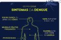 Conheça os sintomas da dengue - Reprodução