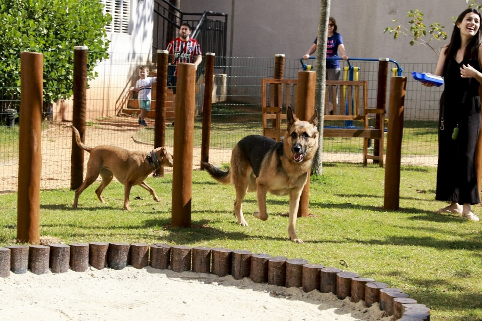 Comissões de Justiça e Bem-estar e Proteção Animal enalteceram a iniciativa