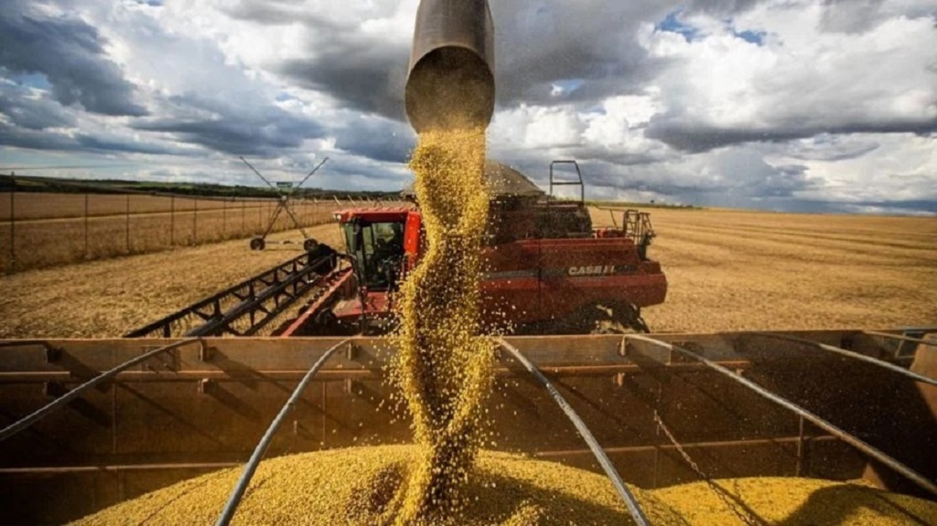 O agro respondeu com um crescimento de 15,1%, segundo o IBGE