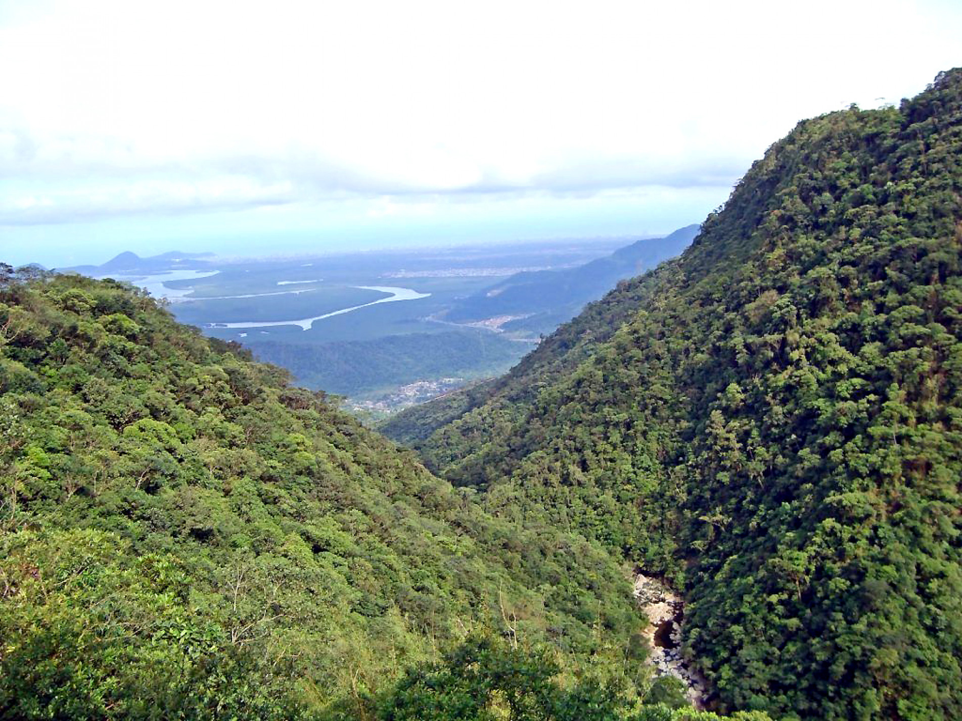 Prefeituras em regiões que abrangem a Serra do Mar e o Vale do Ribeira, por exemplo, terão incentivo para políticas ambientais