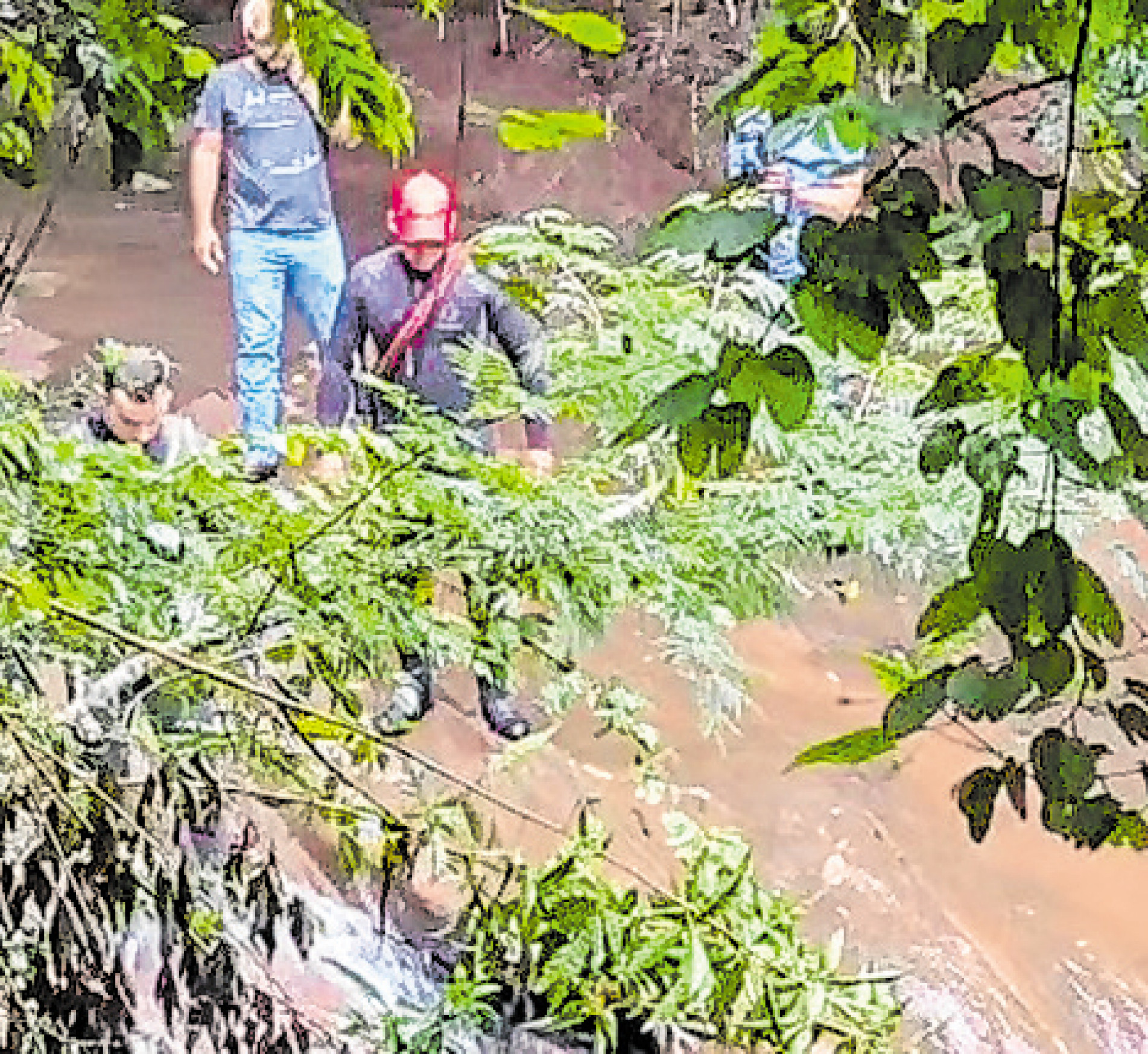 Bombeiros buscam mulher desaparecida