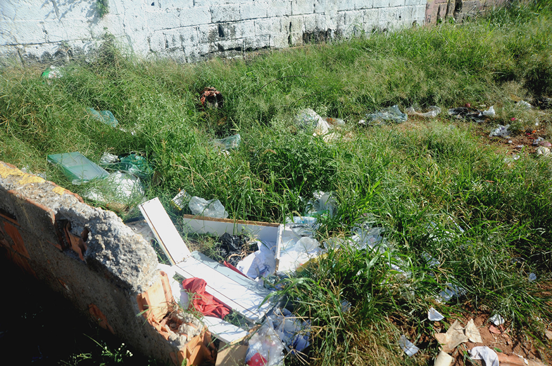 Terrenos baldios são usados de forma irregular como área de descarte de entulho e lixo