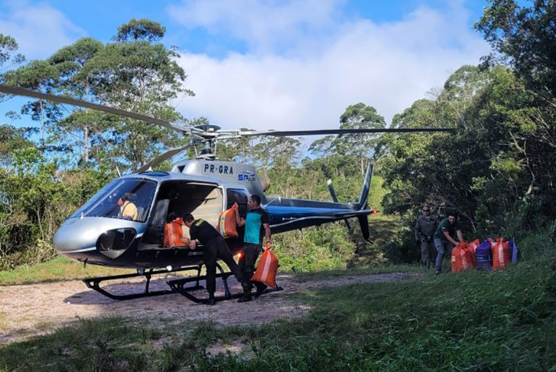 As sementes são lançadas de drones e helicópteros em áreas protegidas do Estado de São Paulo