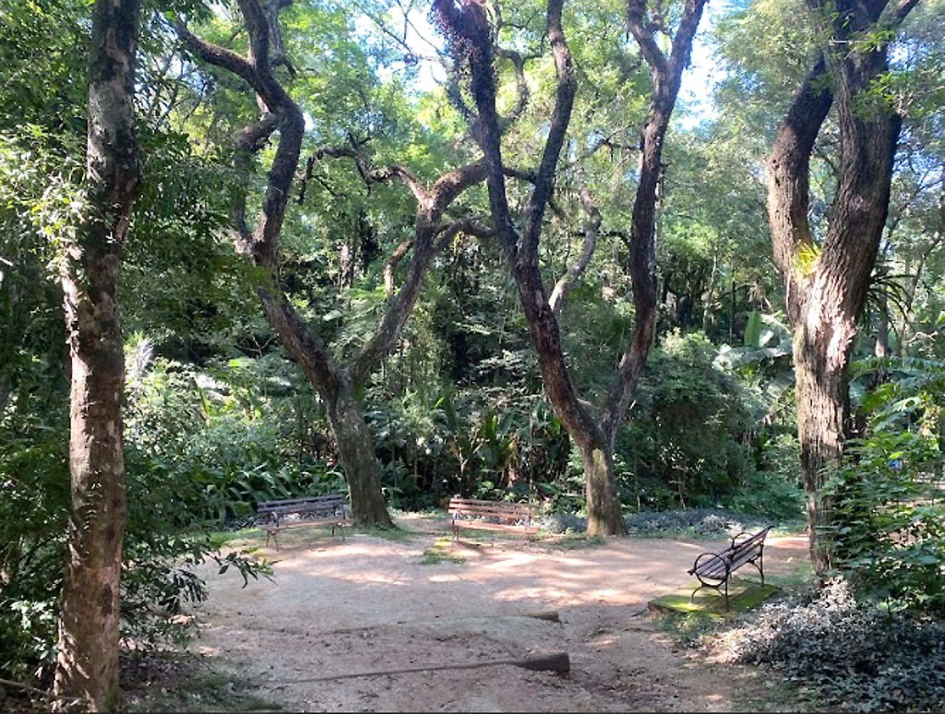 Trabalhos selecionados serão expostos no Parque da Biquinha