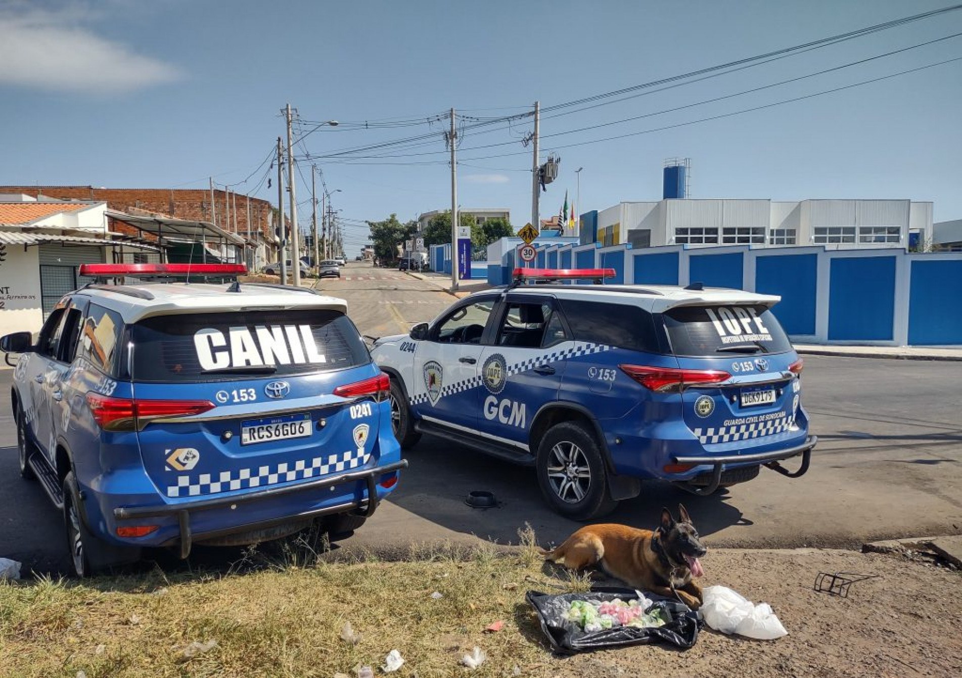 Drogas foram encontradas pelo cão Thor, da GCM