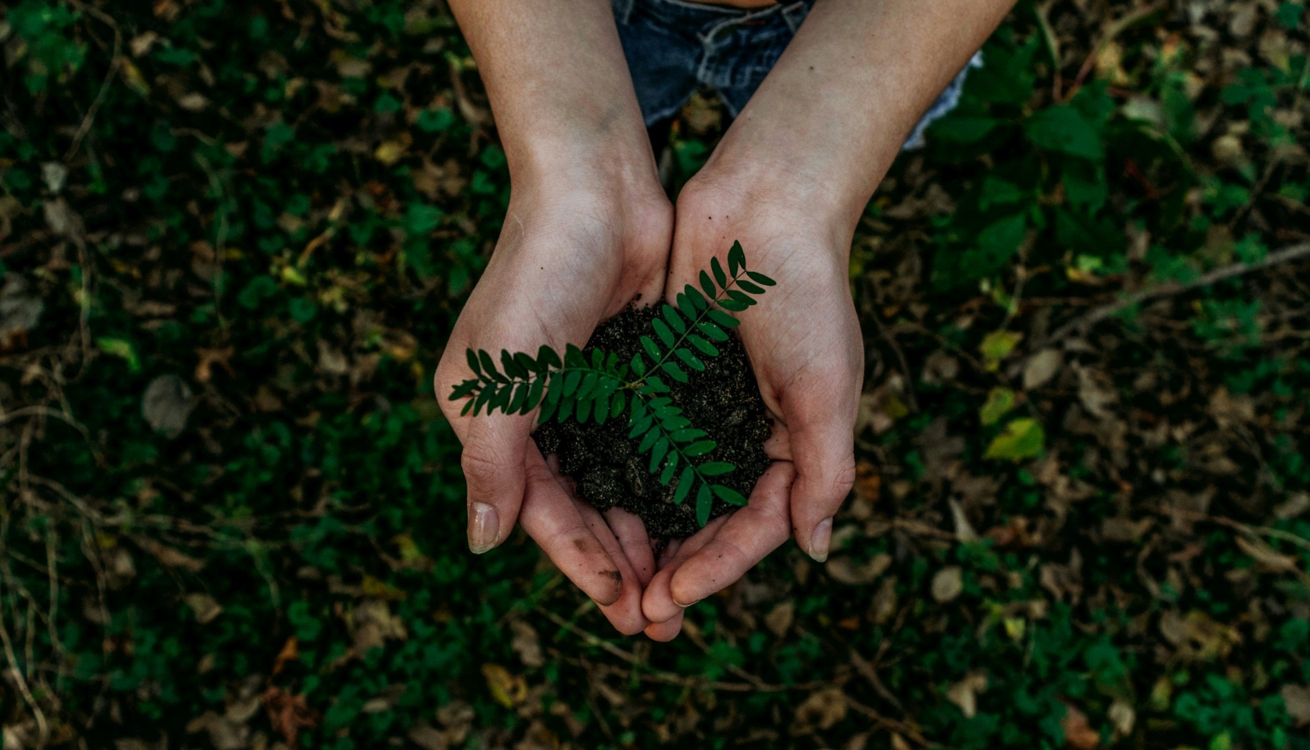 Conservação ambiental