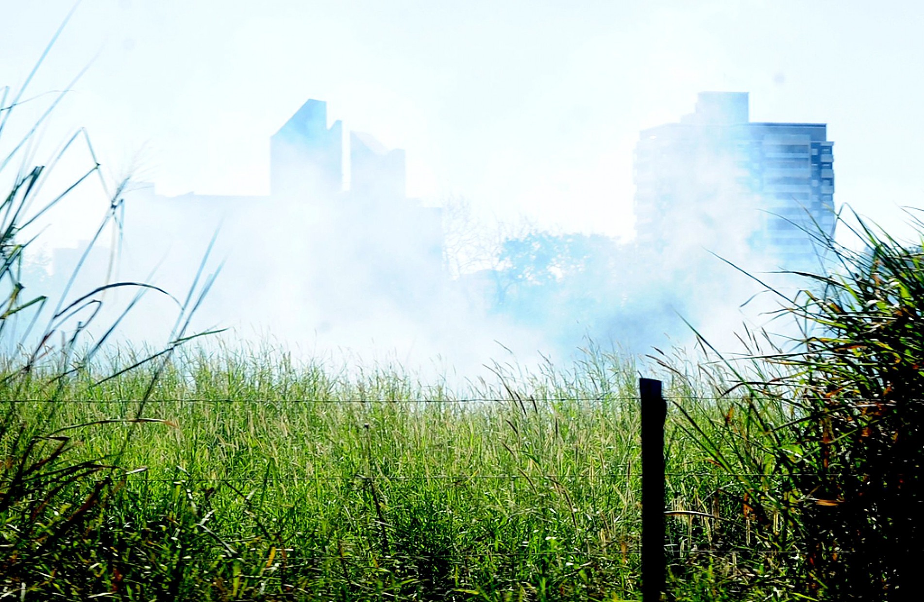 No tempo seco, uma simples bituca de cigarro jogada em área de mato pode provocar incêndio de grandes proporções
