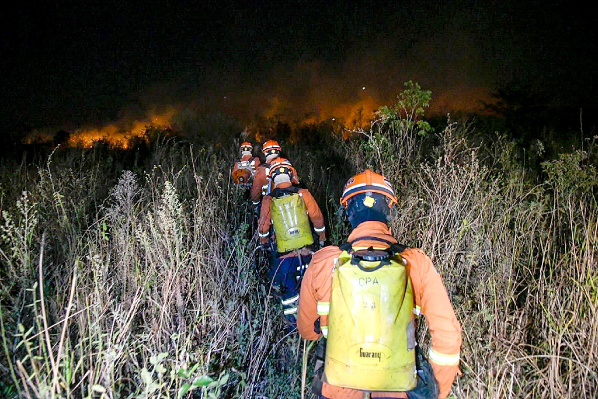 Defesa Civil coordena as ações para conter o fogo que ameaça a fauna e a flora