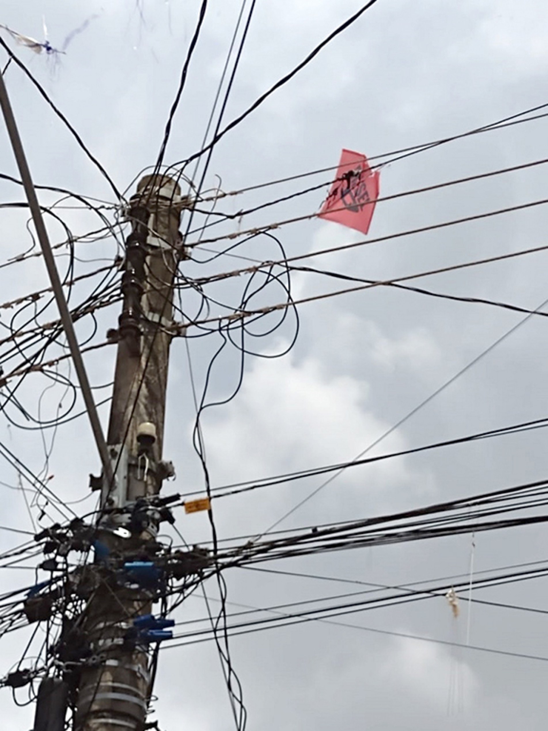 Tentar resgatar uma pipa enroscada na rede elétrica tem alto risco de morte
