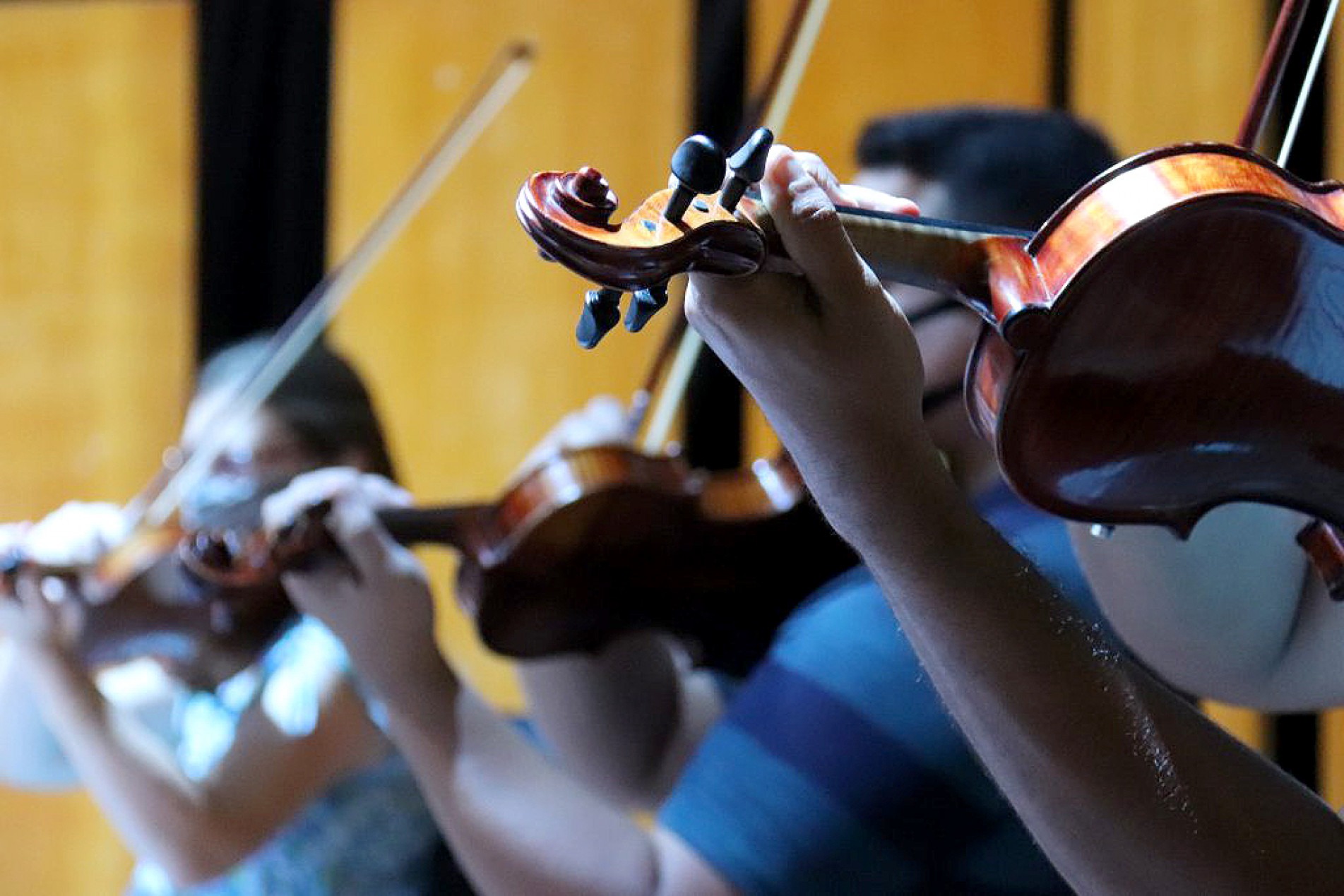 As vagas são para 12 cursos regulares gratuitos, entre eles, o de violino