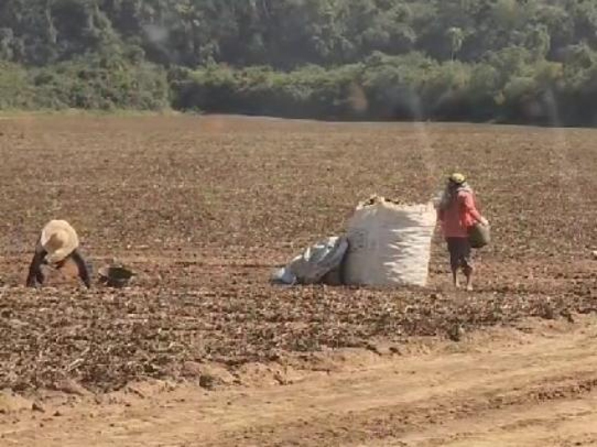 Os adolescentes, entre 14 e 17 anos, trabalhavam em condições precárias