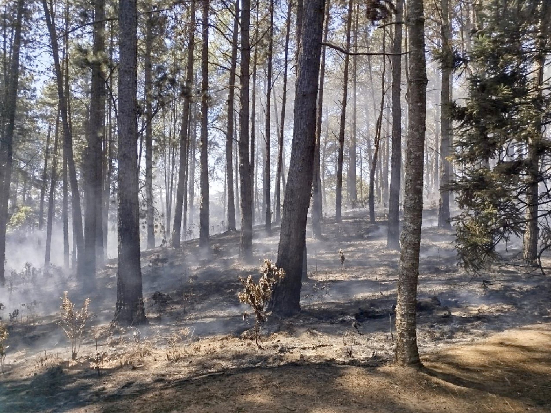 Incêndios fecharam rodovias e suspenderam aulas
