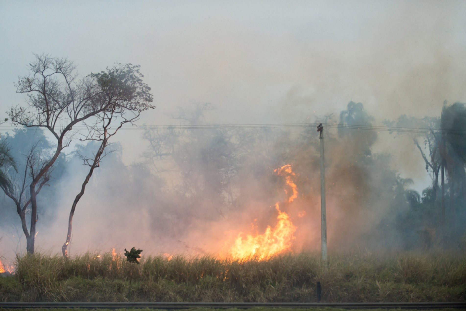 Queimadas no interior de São Paulo provocaram mortes e bloqueio de rodovias