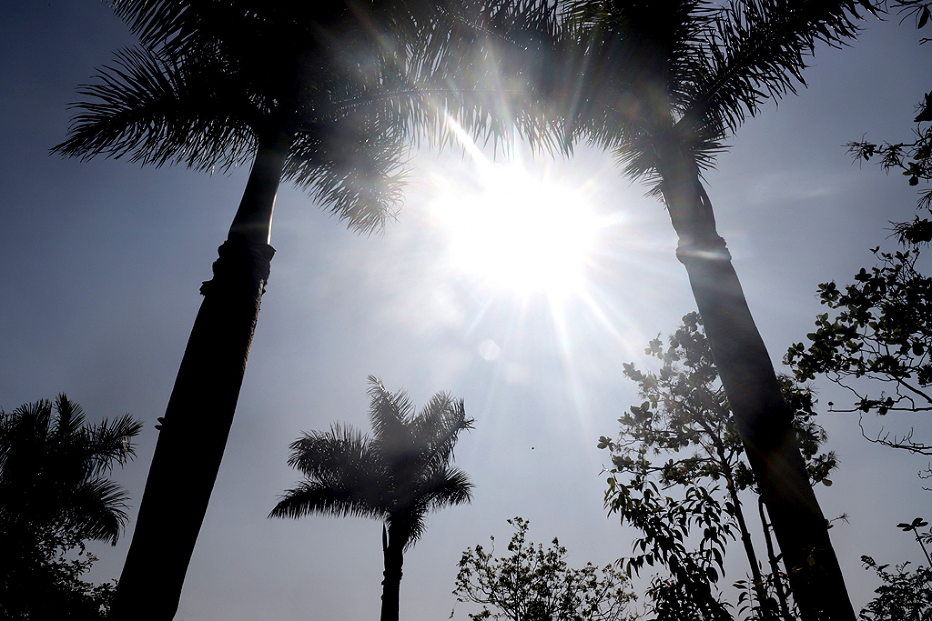 Sol, calor de até 35ºC e ar seco predominam até sábado
