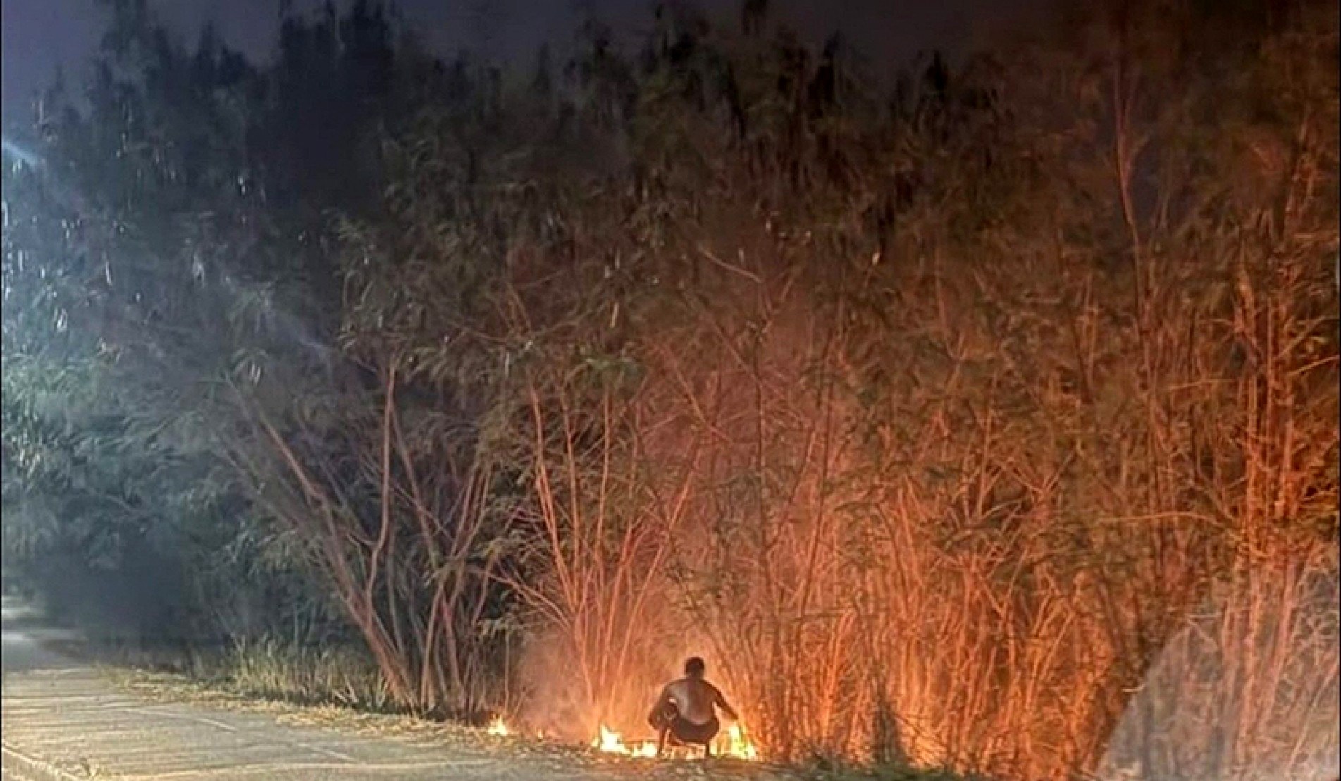 Homem foi detido colocando fogo em uma área de mata na avenida Paraná, entre os bairros do Éden e Cajuru, no dia 14 de setembro
