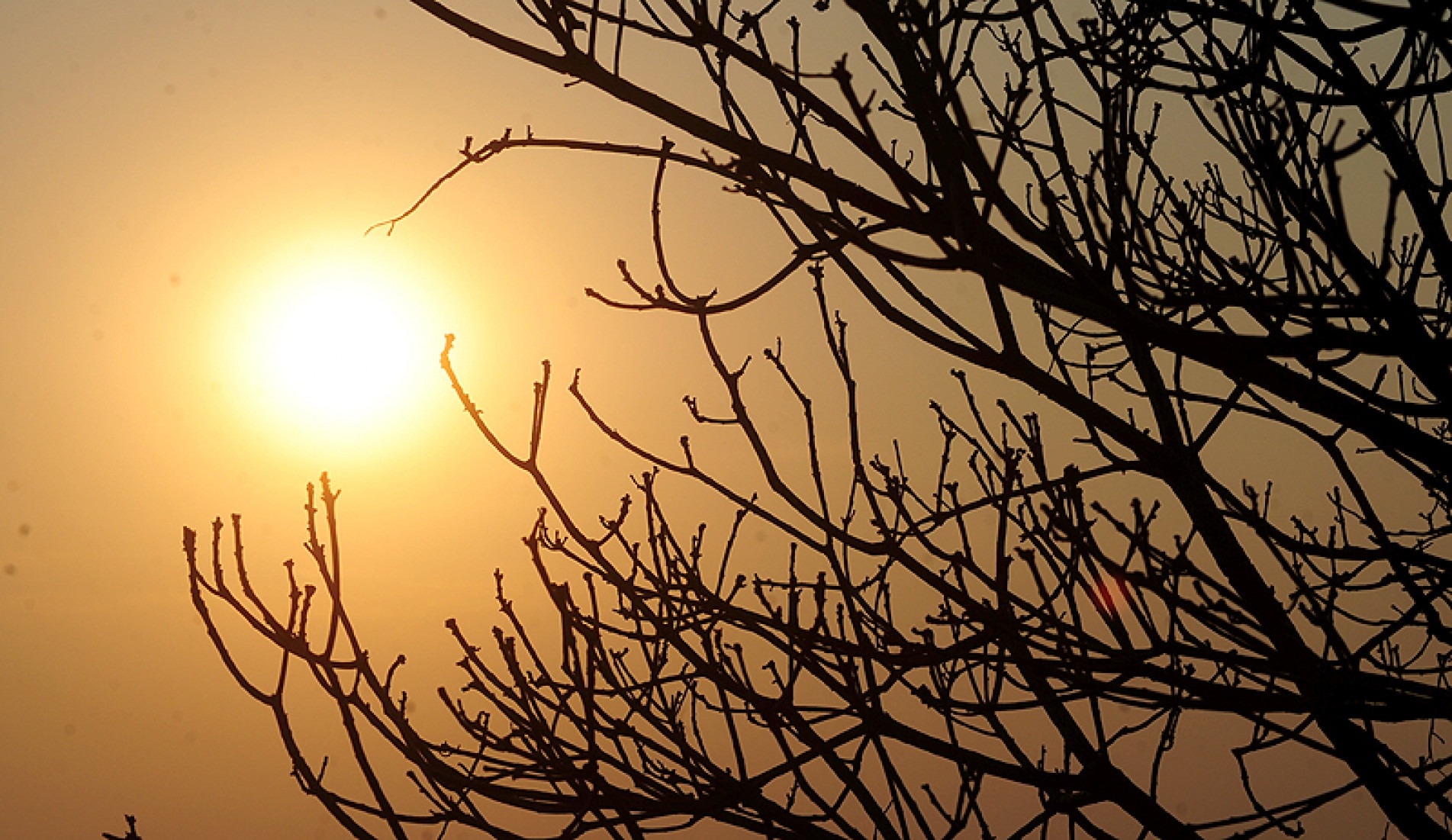 Hoje e amanhã termômetros variam entre 19ºC e 37ºC; 
na sexta, máxima será de 22ºC