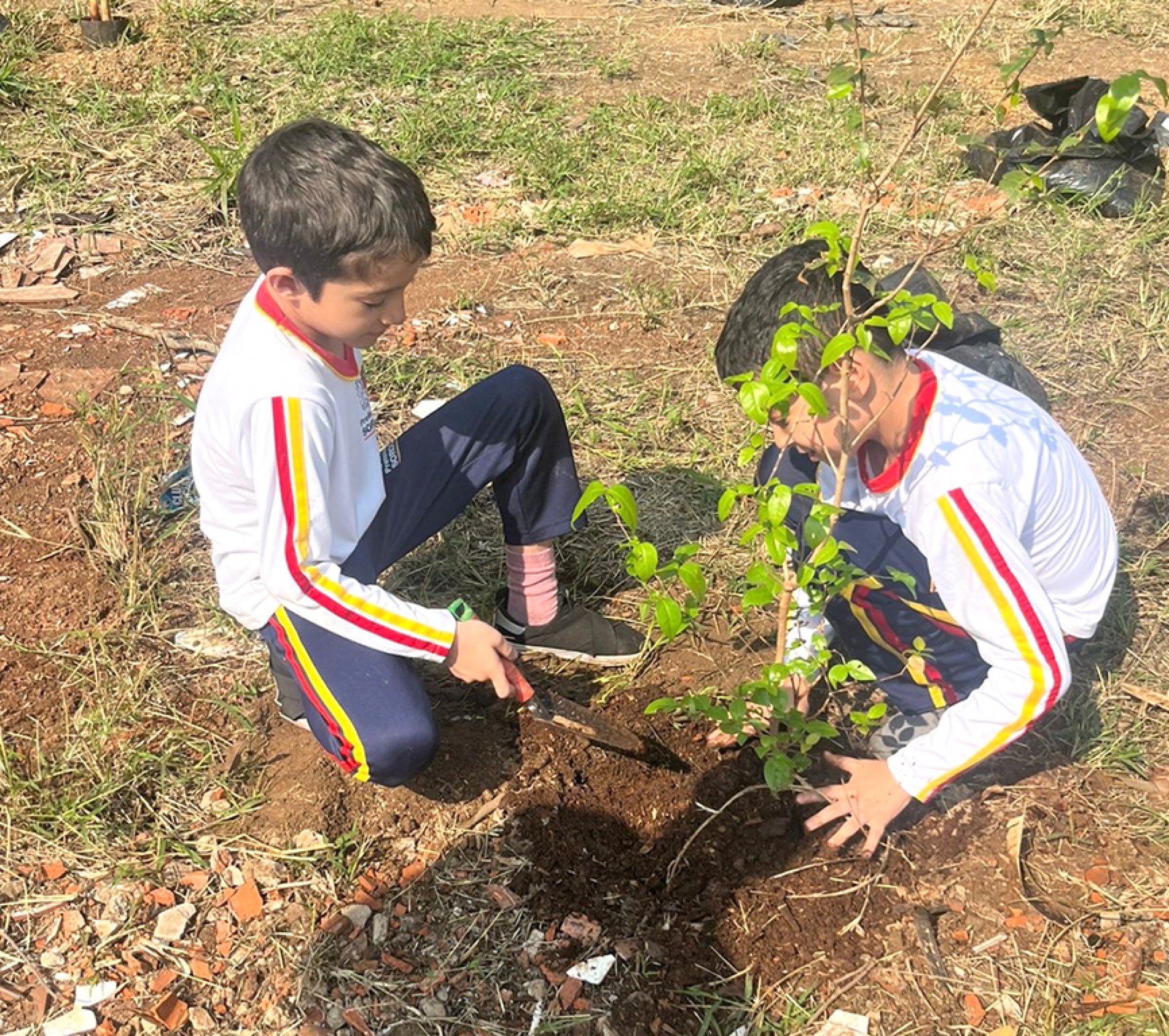 Foram cerca de 250 alunos que participaram da atividade de plantio de árvores. Eles também aprenderam sobre o perigo das queimadas e a importância da preservação ambiental
