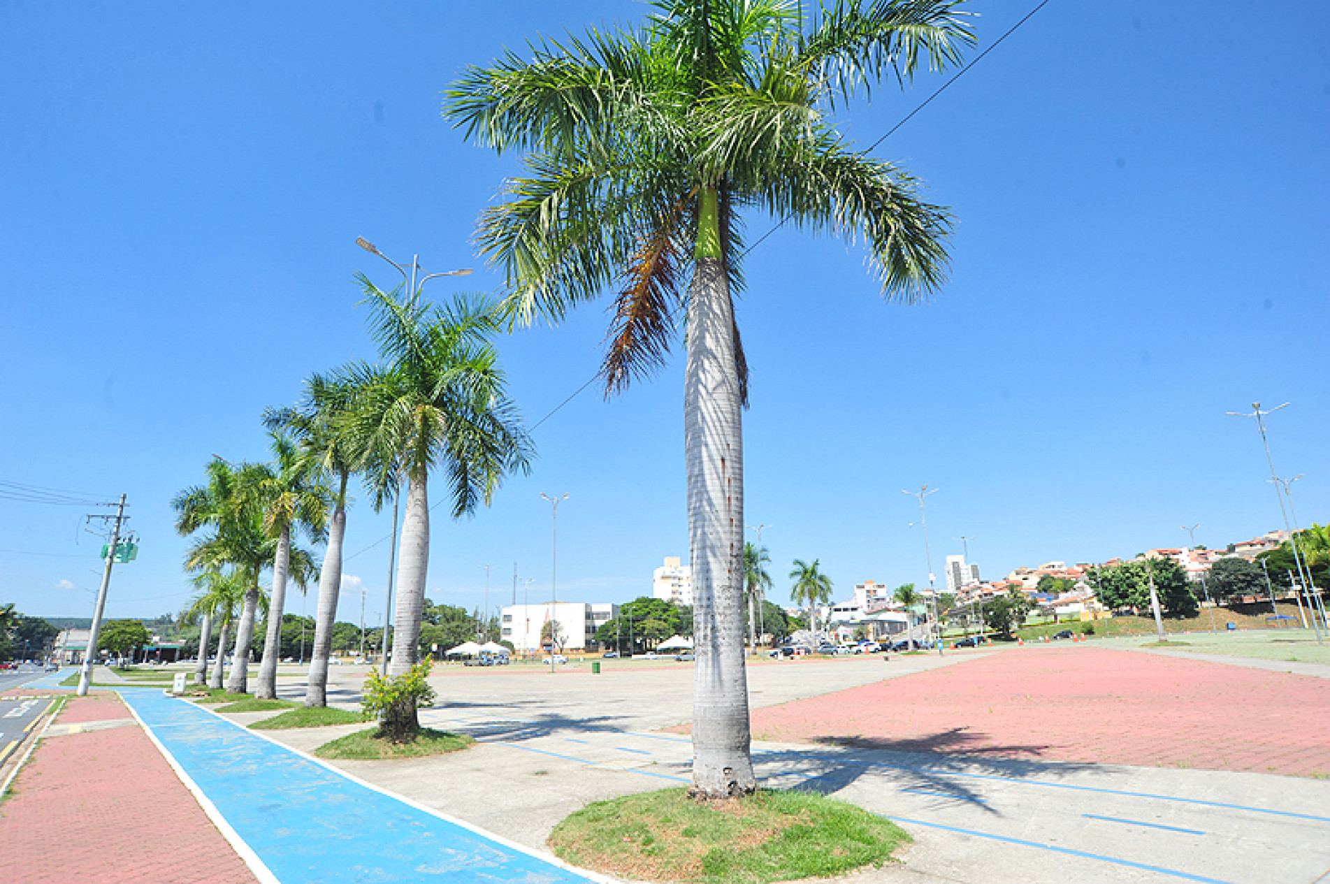 Na noite desta terça-feira tem samba na praça Lecy de Campos
