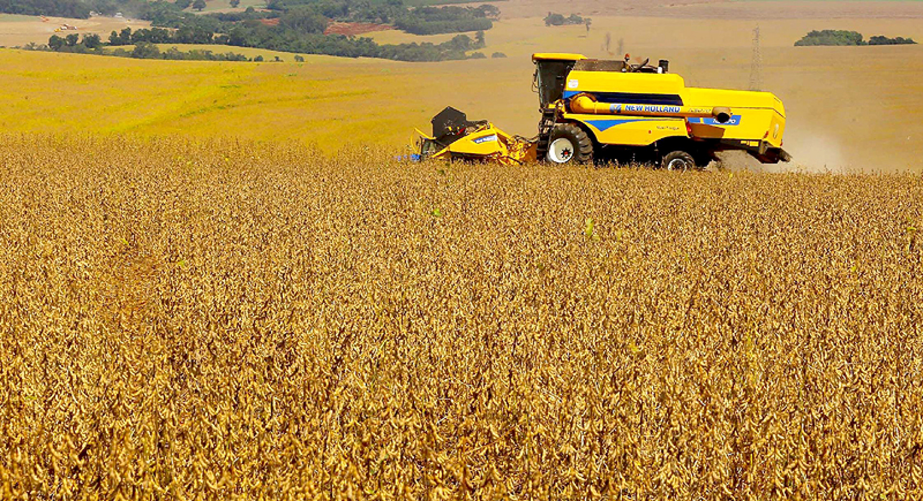 Valor foi de US$ 14,2 bi, informou o Ministério da Agricultura
