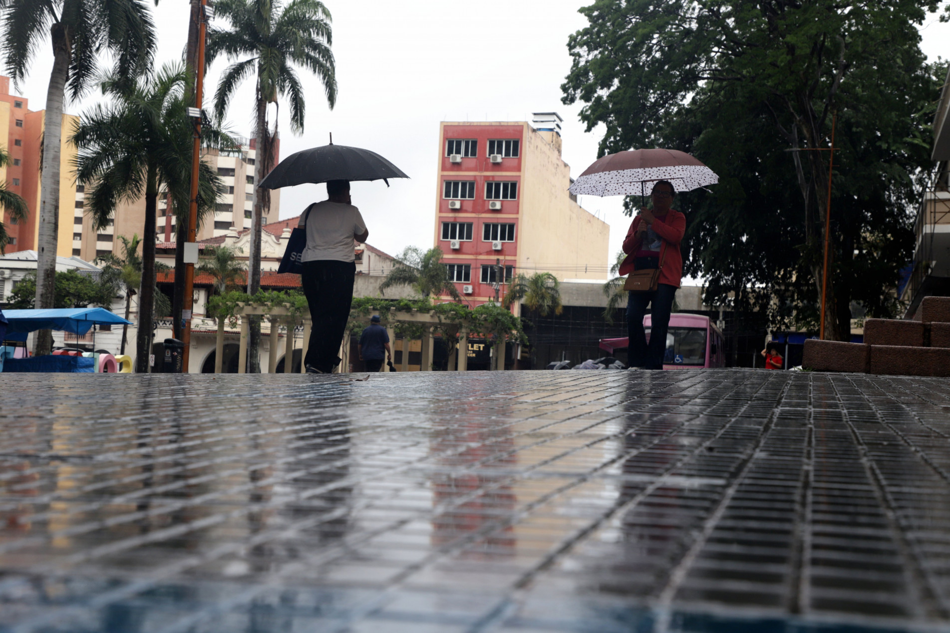 Os termômetros devem cair ainda mais no final de semana