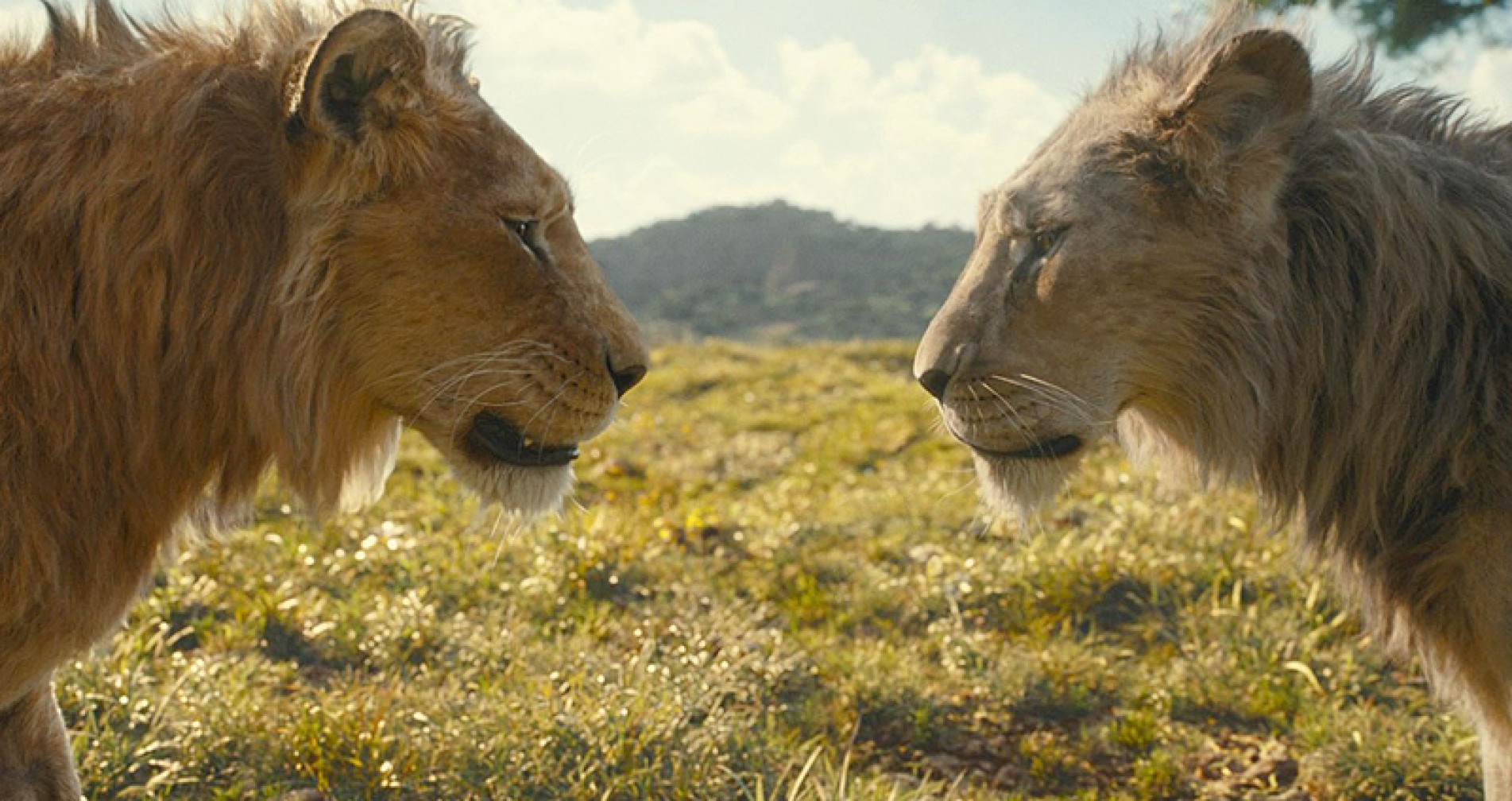 ‘Mufasa O Rei Leão’ estreia hoje nas salas dos cinemas de Sorocaba