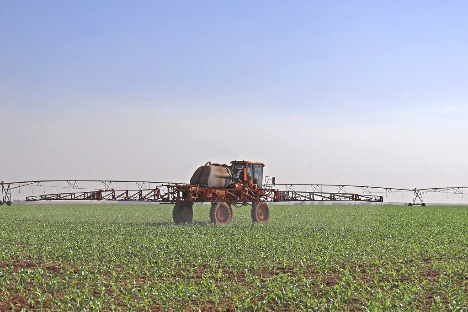 Para emitir a NF-e, o produtor rural utilizará seu CPF e sua inscrição estadual
