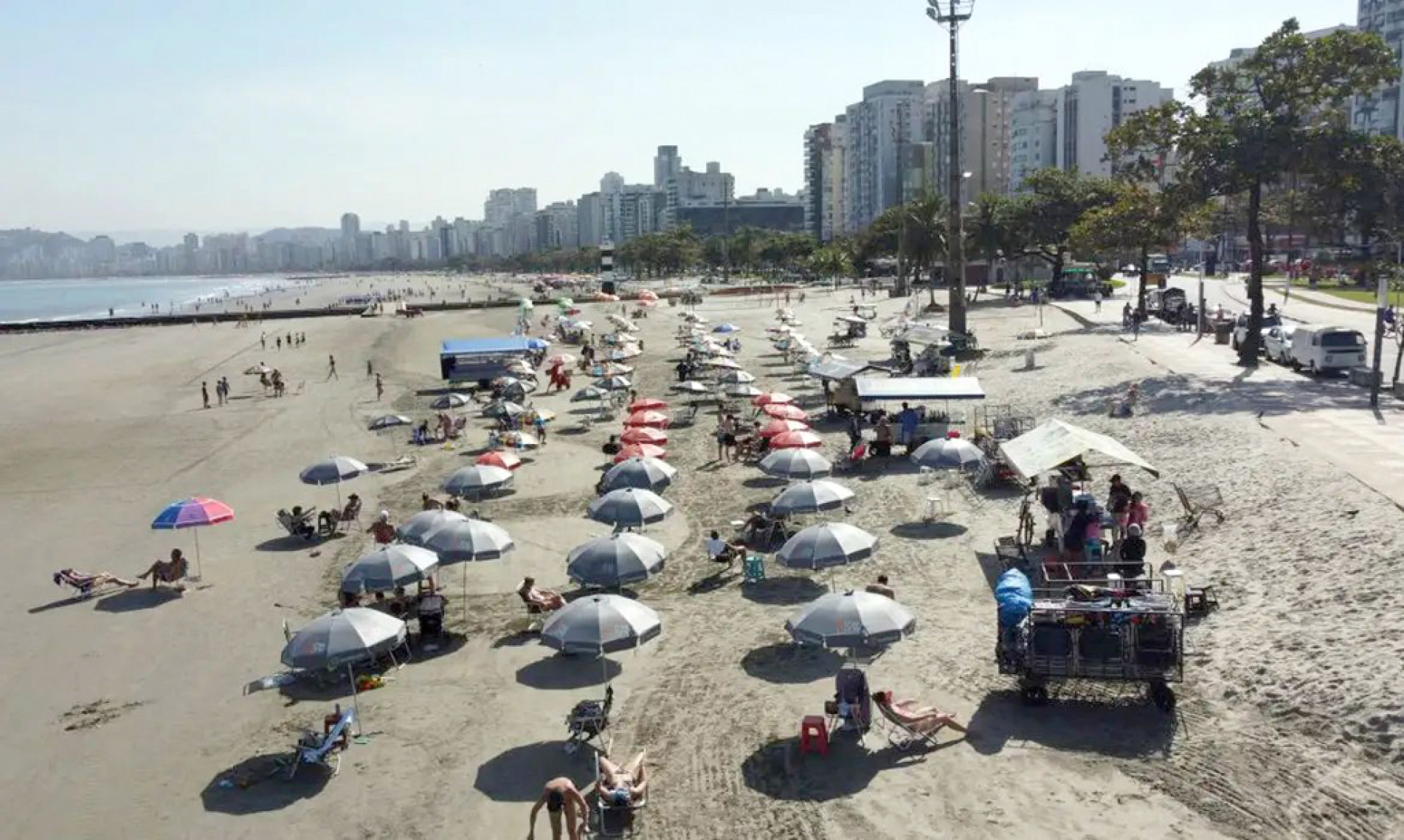 Casos de virose apareceram no final do ano passado 
